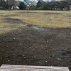 ピースボートのボランティアに行った