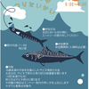 鳴尾浜臨海公園｜2025年9月6日（土）に「子供サビキ釣り大会」が開催されます