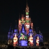 クリスマスのディズニーランドに行ってきました！