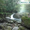 熊本県の菊池渓谷で山開き