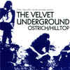 ヴェルヴェット・アンダーグラウンド The Velvet Underground - Live at The Hilltop Rock Festival (August 2, 1969)