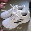 2024年11月のランニングまとめ