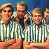 ビーチ・ボーイズについて