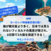 ヨーロッパ物価最安値の国！猫が観光客より多く、日本では見られないフィヨルドの風景が隠され、8日間