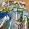 うぃるびー図書館　2025年2月追加図書♬