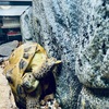 モトラがいてよかった