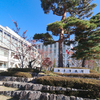 市役所からの眺望