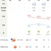 6/06 月曜日　曇天明け　霧に包まれた朝　雨日