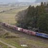 第2642列車　「　米原俯瞰で貨物列車を狙う 2024・3月 東近江まったり遠征その2　」