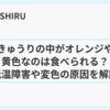 きゅうりの中がオレンジや黄色なのは食べられる？低温障害や変色の原因を解説