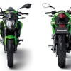 Spesifikasi Lengkap dan Harga Kawasaki Z250 SL 2015