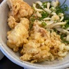 ５月4日　鶏天ぶっかけうどん