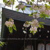 白峰神社