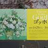 ※ゴッホ展と神戸旧居留地のランチ＆・:,。*:☆゜・o○☆*:*:..。o☆
