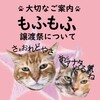 ☆もふもふ日記☆その9