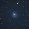 やけっぱちのM101(回転花火銀河)