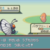 【ポケモンRSE】ハートのウロコ回収完全自動化 + 泥棒自動化