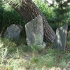 津軽地方の庚申塔 #164（青森市浪岡大字女鹿沢・路傍）