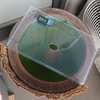 ベランダ睡蓮鉢の金魚 水温差対策