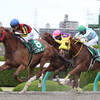 競馬初心者必見☆馬券予想🔥〜アンタレスステークス〜今年もリピーターに注目！？〜