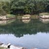 対馬藩お船江跡除草作業
