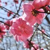 出てこない言葉