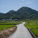 COLOR-SKOPAR 50mm F2.2 VM 試し撮りの続き