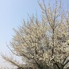 140318