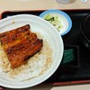 松屋のうな丼が美味しいらしい。