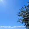 夏空を堪能しています☆