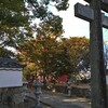 花手水 ﾊﾅﾃﾐｽﾞ めぐり