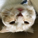 鍼灸師旦那のツボブログ