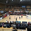 バスケットの試合観戦