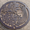南国市のマンホールの蓋