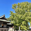 葛飾八幡宮（千葉県市川市）　～葛飾八幡宮でもらえる3つの御朱印 4/5～