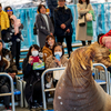 🥽水族館なんて面白いのか？