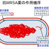 抗菌薬④抗MRSA薬、抗結核菌薬、その他特殊な抗菌薬