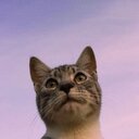 beryuのチラシの裏