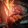 森の闇と見上げた星と、焚火とご飯。ってお話。
