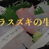 【知れば釣れる】ヒラスズキがつくサラシ・風・波の条件とは？