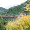 川沿いを彩る
