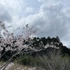 日曜日　多古からゆめ牧場