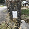 風呂の本橋（京都府船井郡京丹波町）