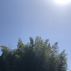 注文住宅、太陽光発電についての結論