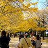 紅葉の昭和記念公園