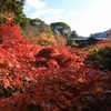 京都「東福寺」紅葉　2025