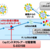 インフルエンザ新薬