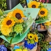 暑さが好きな花