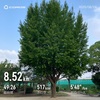1週間以上ずっと