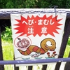 青年の助言により危機を回避